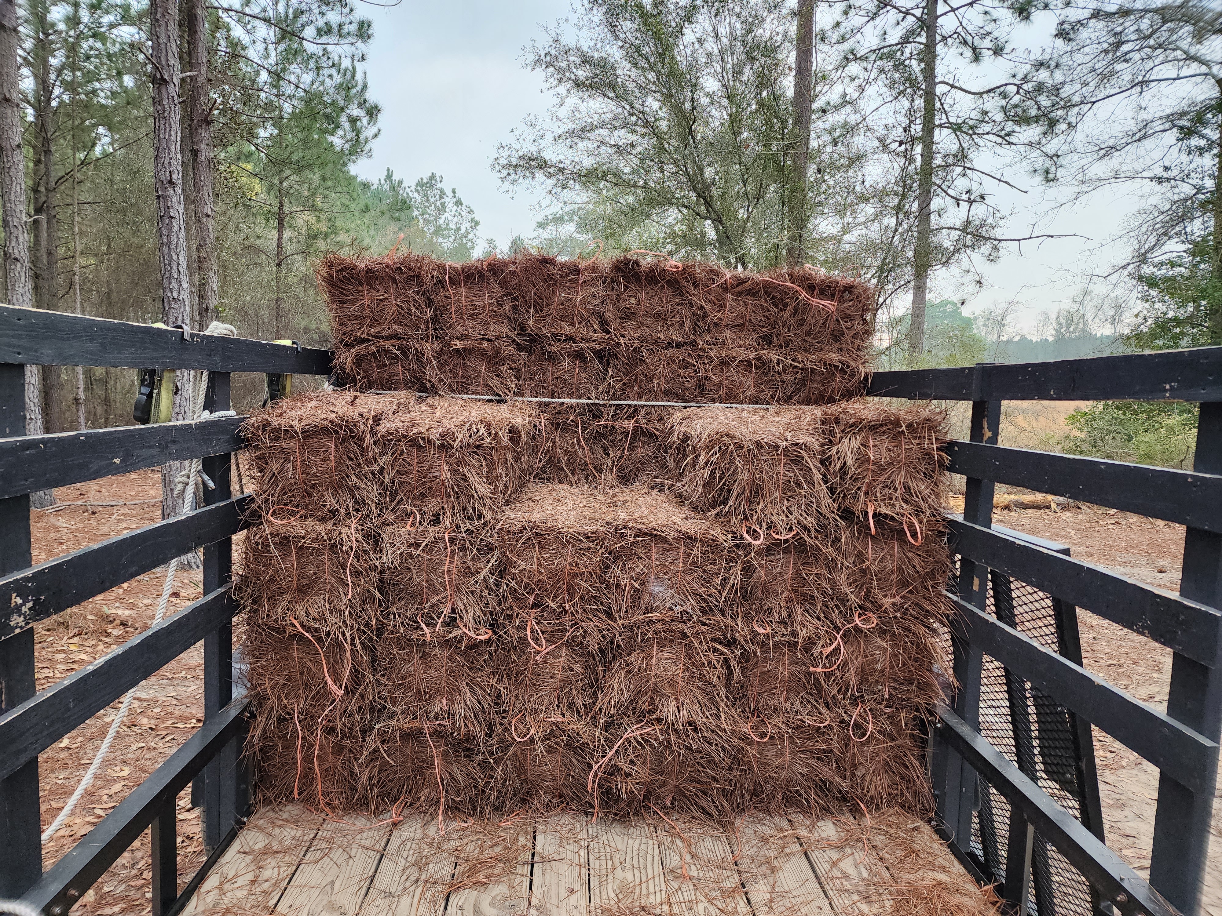 Partial trailer load of longleaf pine straw